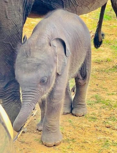 WhatsApp Image 2025-09-28 at 23.00.33 (1)