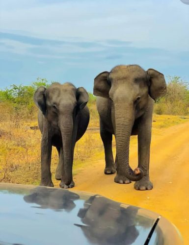 WhatsApp Image 2025-09-28 at 23.00.33