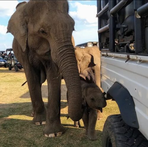 WhatsApp Image 2025-09-28 at 23.00.34 (1)