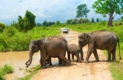 WhatsApp Image 2025-09-28 at 23.00.37 (1)