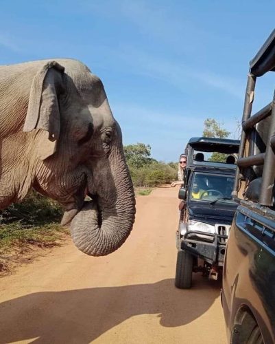 WhatsApp Image 2025-09-28 at 23.00.37