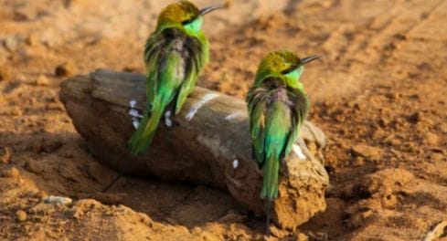 WhatsApp Image 2025-09-28 at 23.00.39 (1)