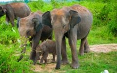 WhatsApp Image 2025-09-28 at 23.00.40