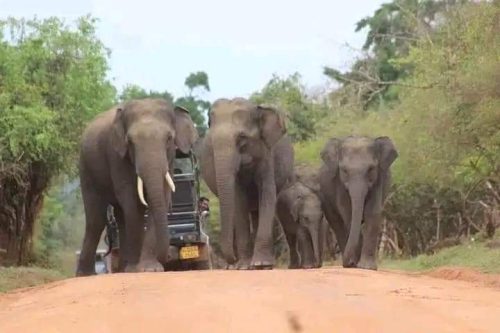 WhatsApp Image 2025-09-28 at 23.00.41 (1)